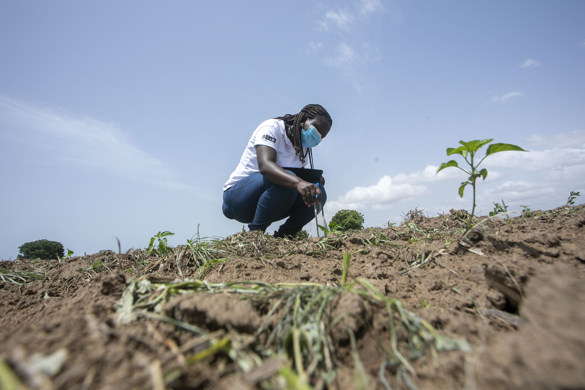 The Road to the COP 28 – Emerging Ag Inc